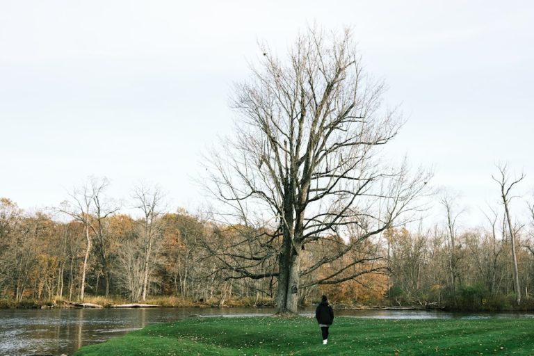 The Great Outdoors: Your Ultimate Playground for Adventure and Growth