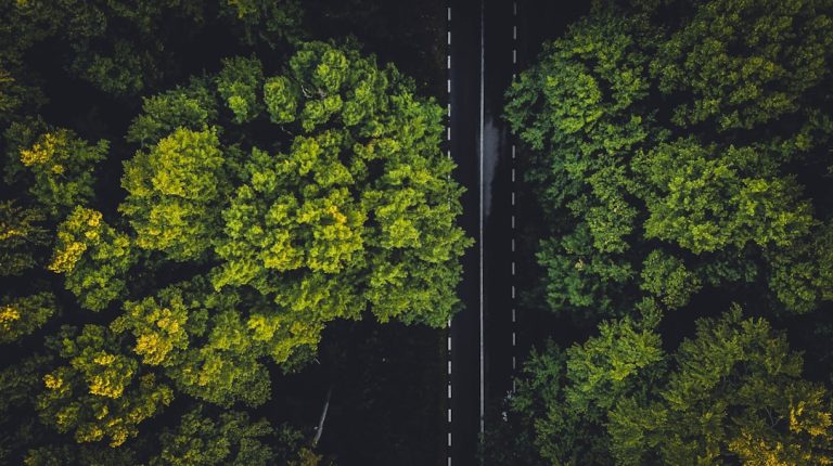 Travel Green: Exploring the Rise of Eco-Friendly Adventures