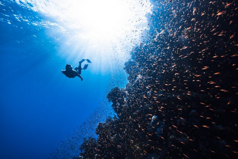 Unlocking the Secrets of Sustainable Travel: A Journey to Explore the World Responsibly